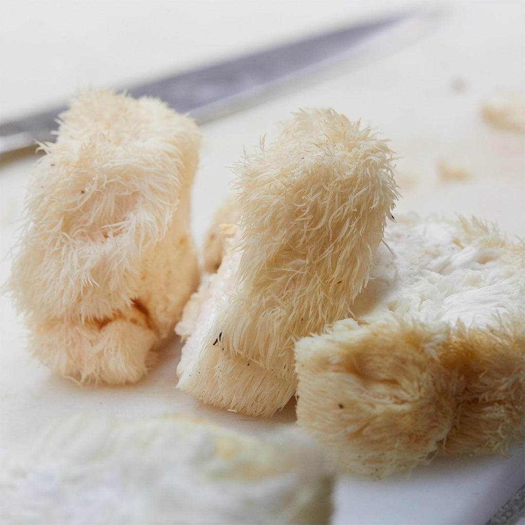 Lion's Mane Mushrooms