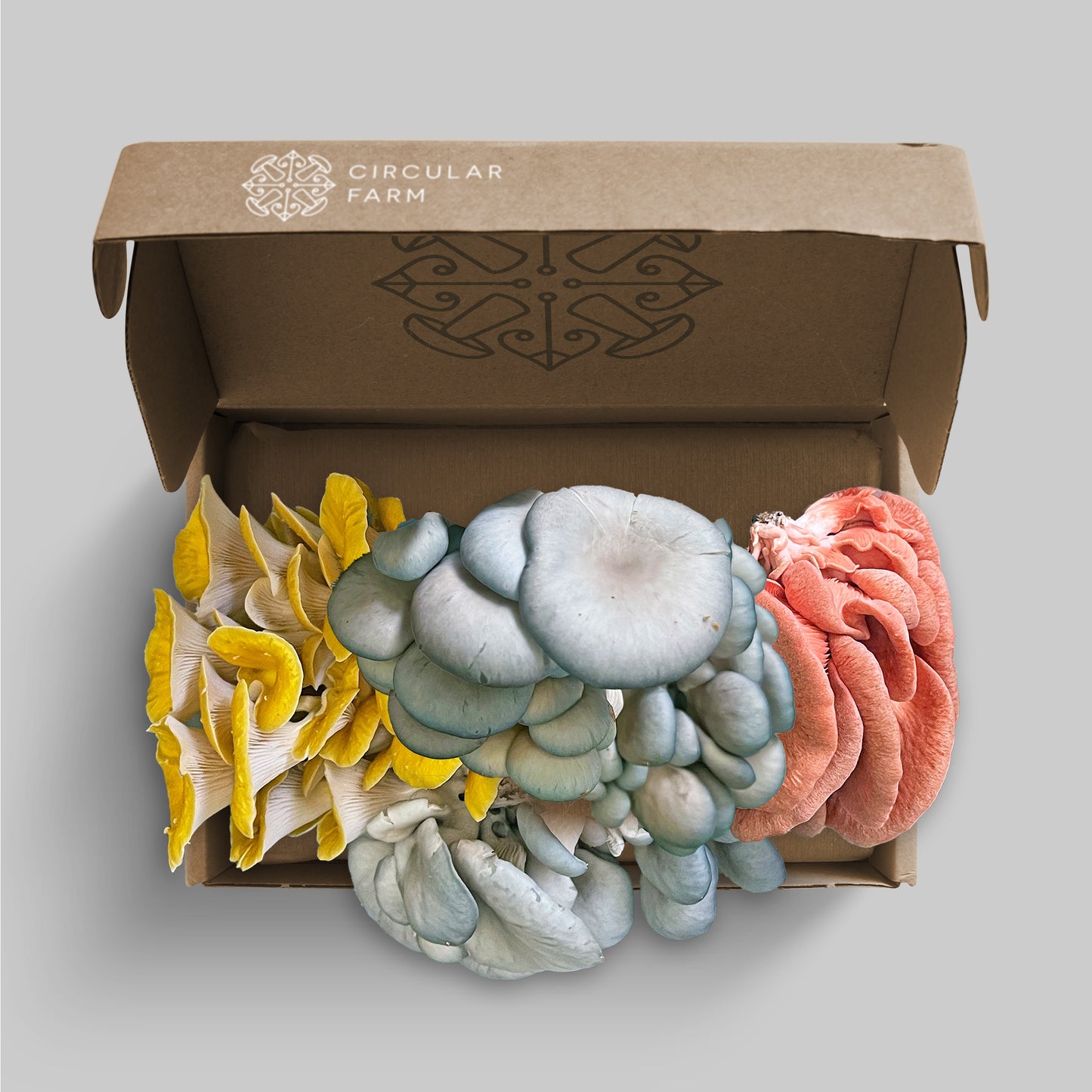 Local Pickup Mushrooms