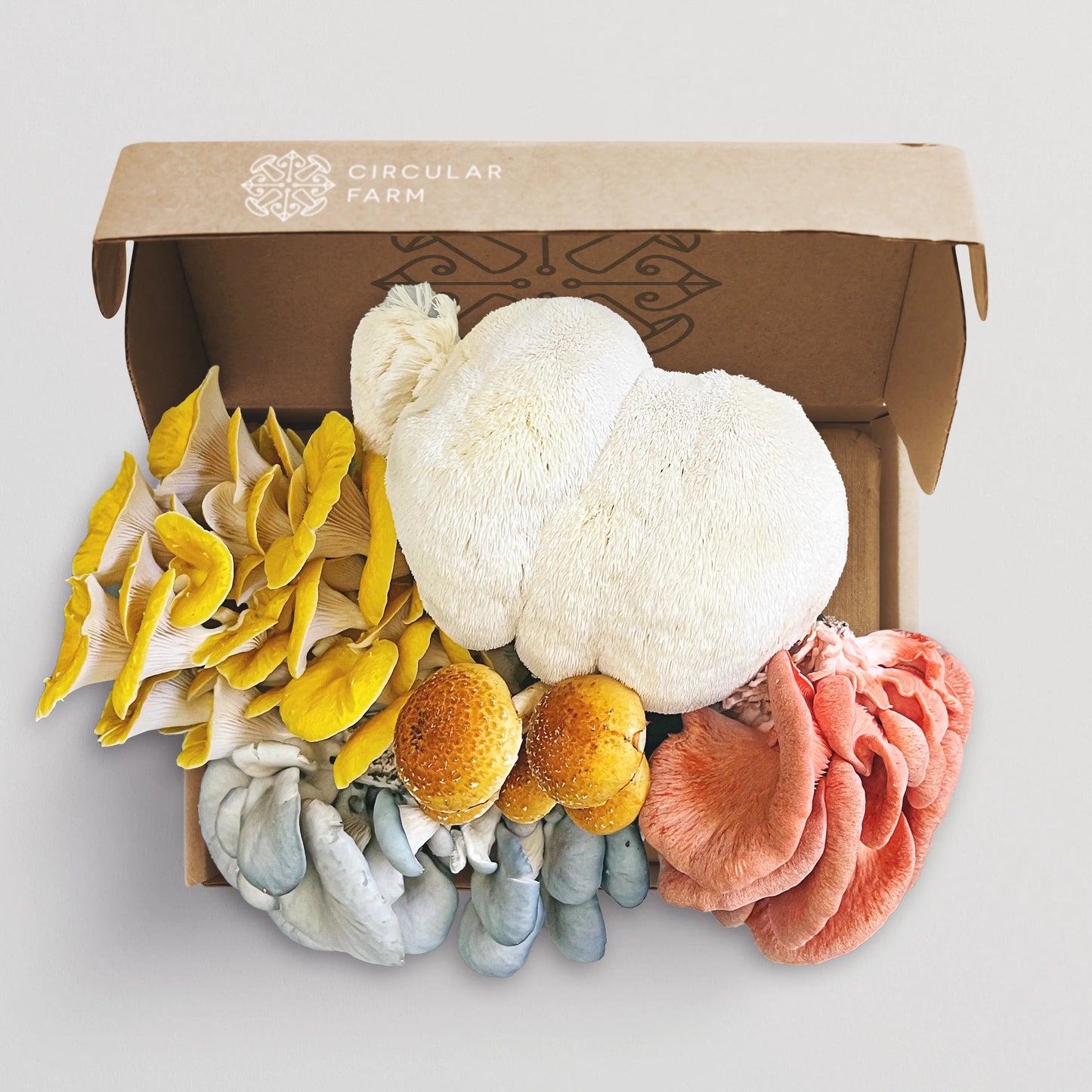 Large Mixed Mushroom Box