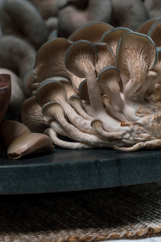 Mushroom Cultivation Guide