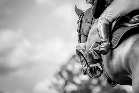 Lion’s Mane and Ulcers: What Preclinical Research Might Mean For Horses