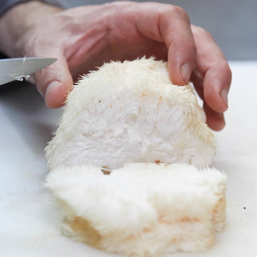 Lion's Mane Mushrooms