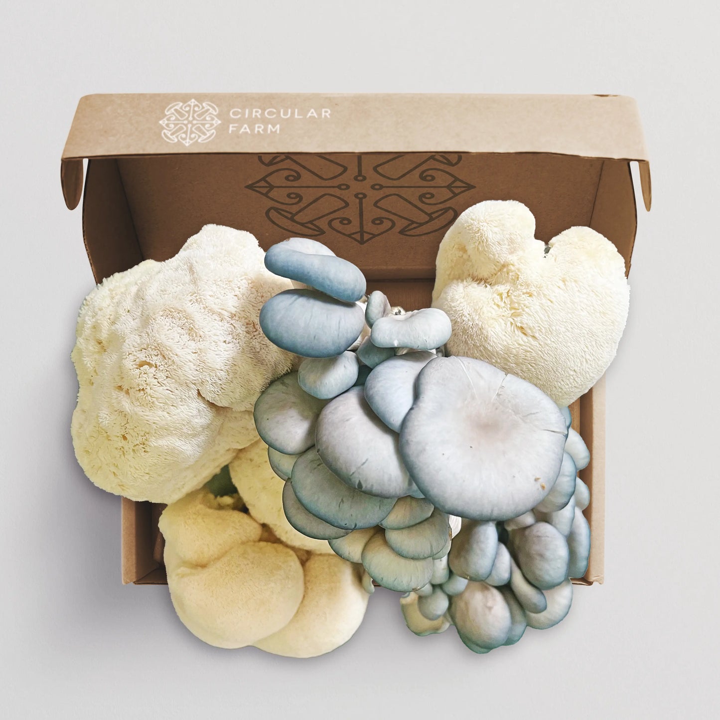 Large Mixed Mushroom Box
